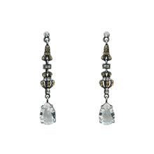 Load image into Gallery viewer, Vintage Long Champagne Earrings
